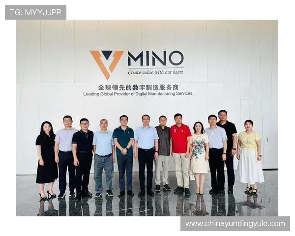 云顶4008集团在行业中的市场定位与竞争策略探讨