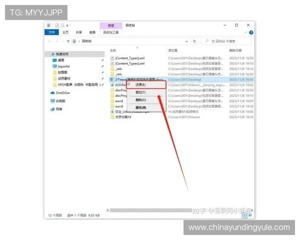 云顶国际在线登录不了的原因分析与解决方案详解