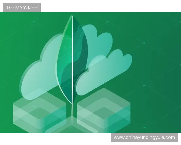 云顶新耀官网安全策略详解提升用户体验与数据保护能力