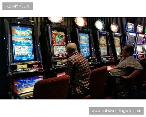 云顶赌场数量揭秘，了解各赌场的规模、特色和娱乐项目