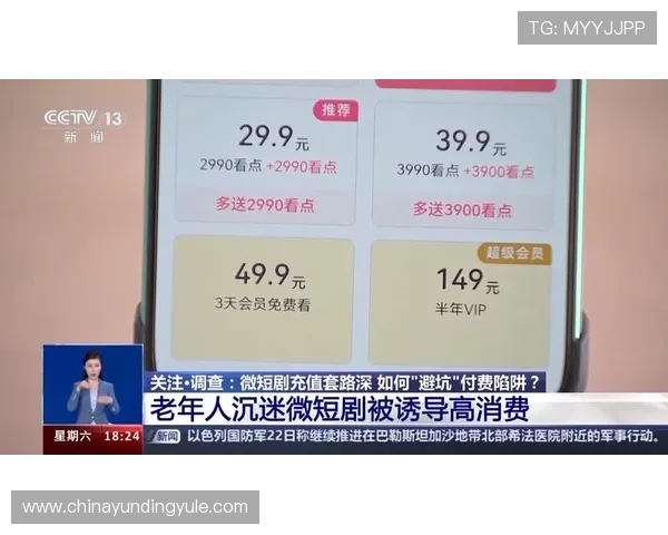 在4008云顶集团官网上如何快速充值充值流程详解与常见问题解决方案