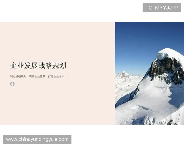 新云顶国际集团(澳门)有限公司的发展战略与未来规划解析