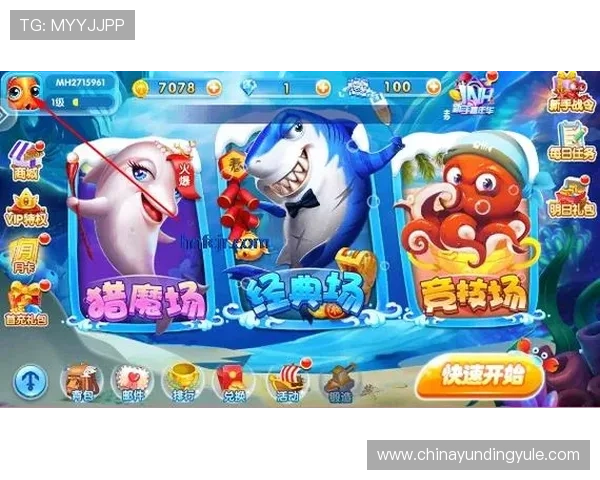 金鲨银鲨官网玩家福利活动，丰富多彩的奖励等你来领取