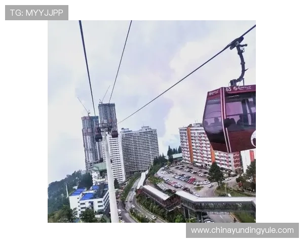 马来云顶集团如何应对行业监管变化保持持续竞争优势