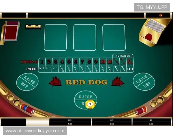 bet365百家乐官网提供最全面的游戏体验和安全保障，助你轻松赢取丰厚奖金